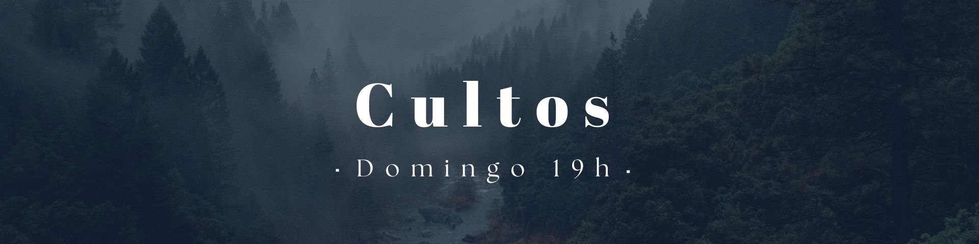 Banner 1